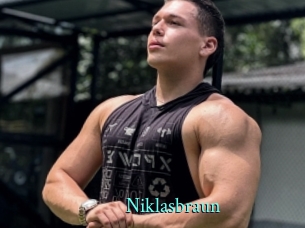 Niklasbraun