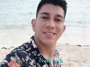 noah_cock xxx Fantasy Land