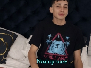 Noahsprouse