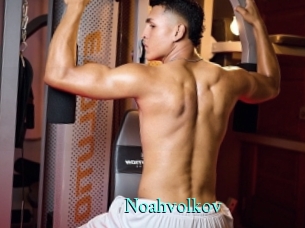 noahvolkov xxx Fantasy Land