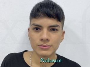 nohascot xxx Fantasy Land
