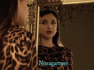Noragartner