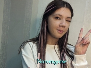 Noreengorse