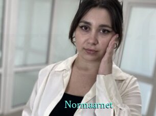 Normaarnet