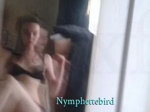 Nymphettebird