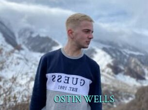 OSTIN_WELLS