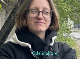 Odelinaborer