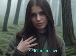 Odelinabucher