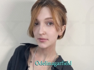 Odelinagarfield