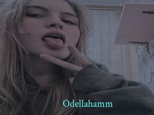 Odellahamm