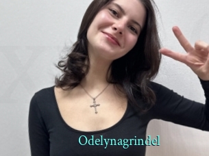 Odelynagrindel