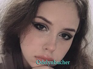 Odelynbucher