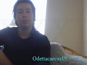 Odettacaecus19