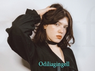 Odiliagingell