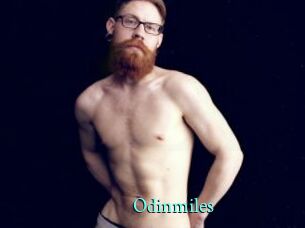odinmiles xxx Fantasy Land