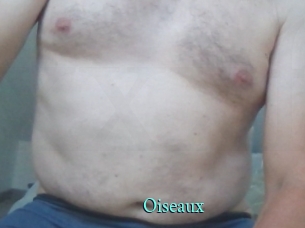 Oiseaux
