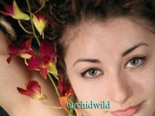 Orchidwild