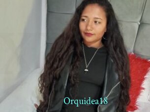 Orquidea18
