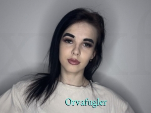 Orvafugler