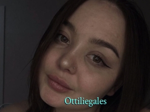 Ottiliegales