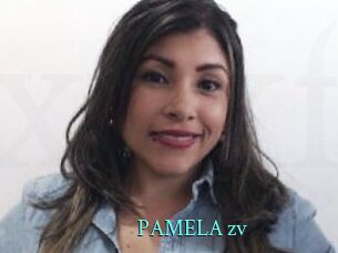 PAMELA_zv