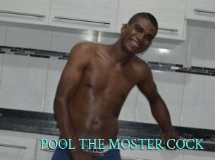 POOL_THE_MOSTER_COCK