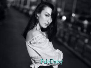 PaleDaisy