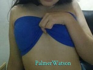 PalmerWatson