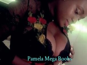 Pamela_Mega_Boobs