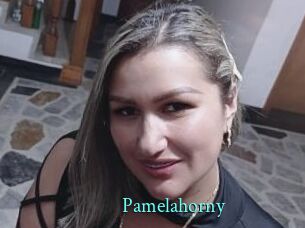 Pamelahorny