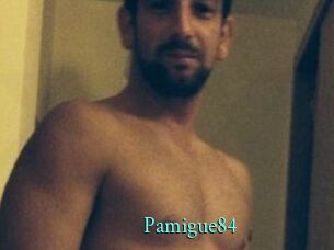 Pamigue84