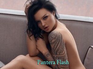 Pantera_Flash