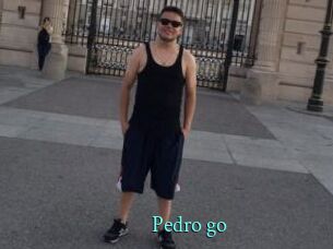 Pedro_go