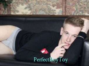 PerfectBoyToy