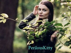 Perilous_Kitty