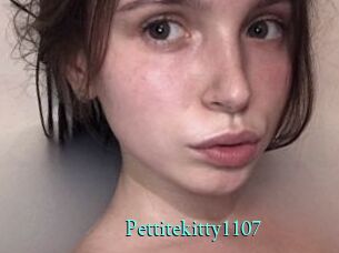 Pettitekitty1107
