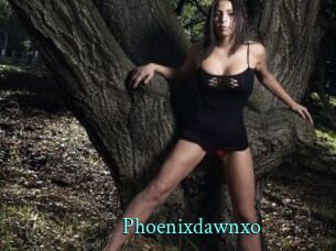 Phoenixdawnxo