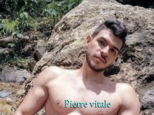 Pierre_vitale xxx Fantasy Land