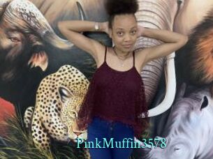 PinkMuffin3578
