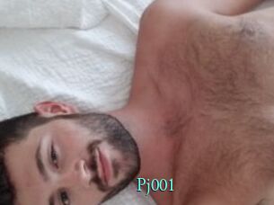 Pj001