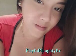 PlayfulNaughtyKc