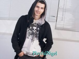 PlayfulNigel