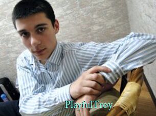 PlayfulTroy