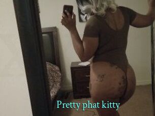 Pretty_phat_kitty