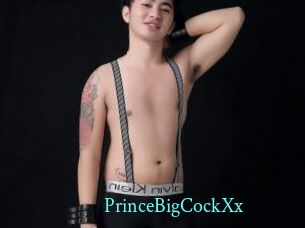 PrinceBigCockXx