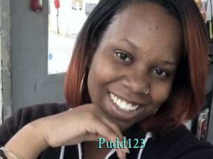 Pudd123