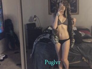 Puglvr