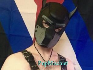 PupMischief