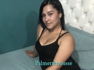 Palmerrbrousse