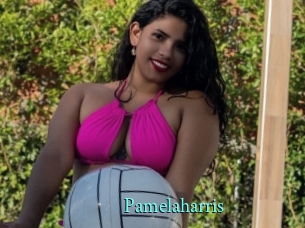 pamelaharris xxx Fantasy Land